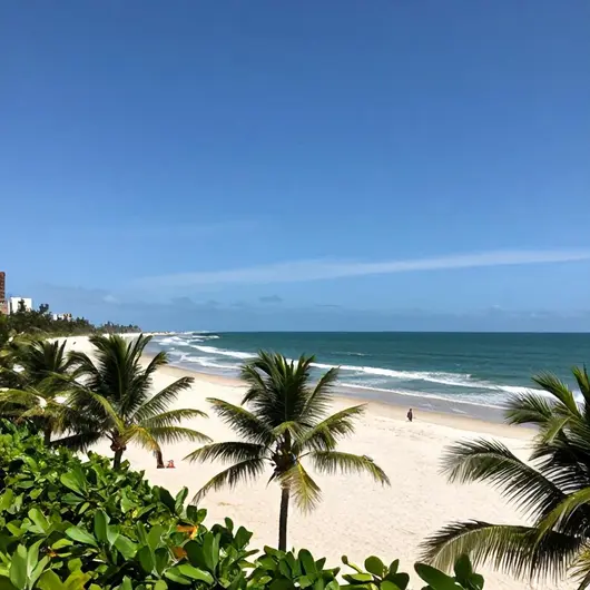 Descubra a Praia do Beach Park: O Paraíso Cearense