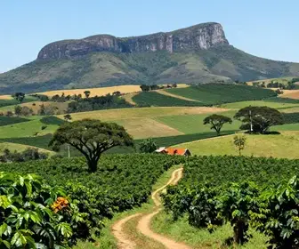 Descubra a Rota Verde do Café: Turismo Rural no Maciço de Baturité