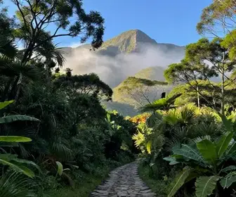 Descubra as Melhores Atividades em Guaramiranga