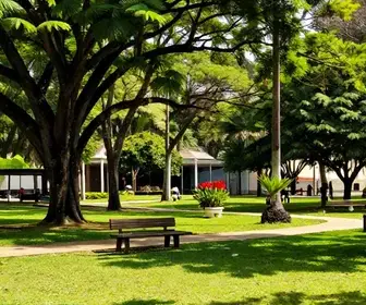 Descubra o Parque Rio Branco: Oásis Verde em Fortaleza
