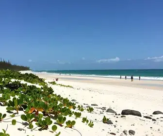 Descubra o que Fazer em Aracati: Dicas Imperdíveis para Sua Viagem