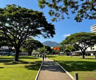 Os 7 melhores parques e trilhas em Fortaleza